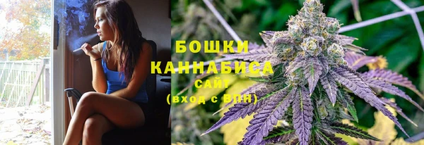 гидра Костерёво