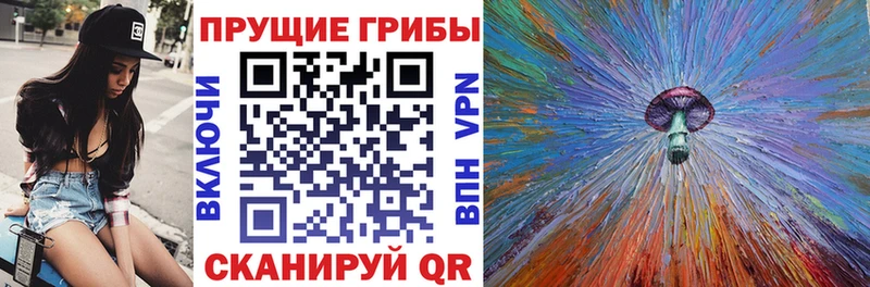 Псилоцибиновые грибы Cubensis  Микунь 